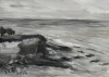 La Jolla Cove 066
